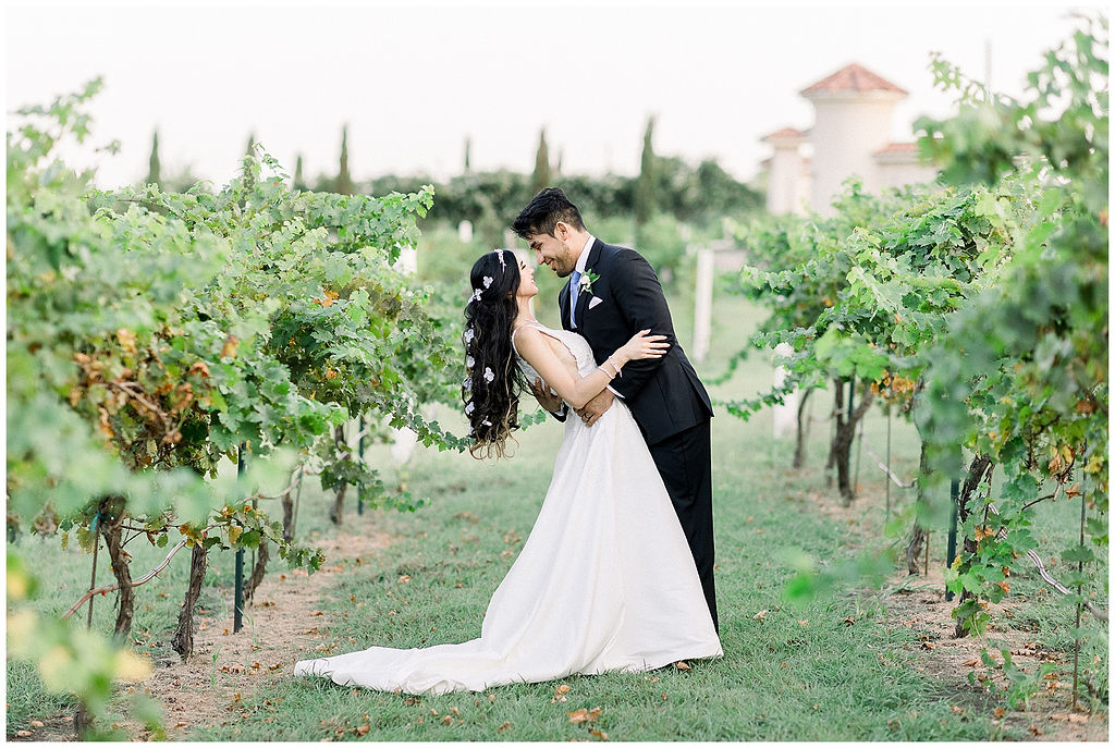 bride and groom pose vineyard